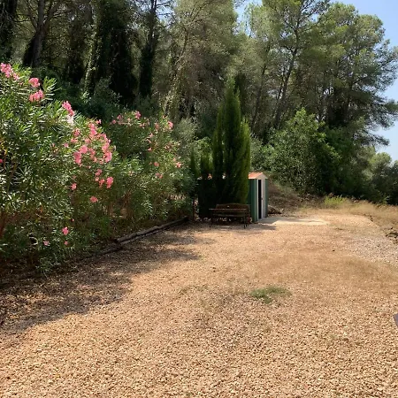 Pla Casa 33 Barcheta
